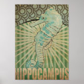 Hippocampus Poster (Voorkant)
