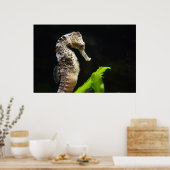 Hippocampus Poster (Keuken)