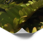 Hippocampus (Zee-paard) Statue, Waikoloa, Hawaii Poster (Hoek)