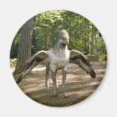 Hippogriff Magneet (Voorkant)