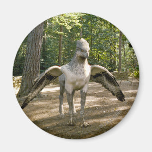 Hippogriff Magneet