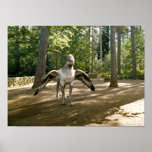 Hippogriff Poster (Voorkant)