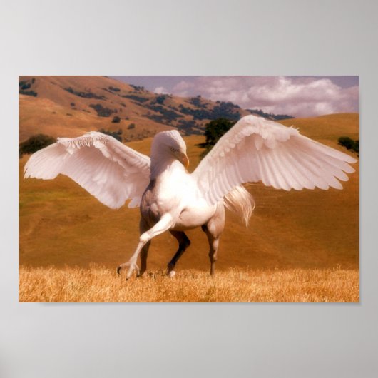 Hippogriff Poster (Voorkant)