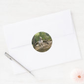 Hippogriff Ronde Sticker (Envelop)