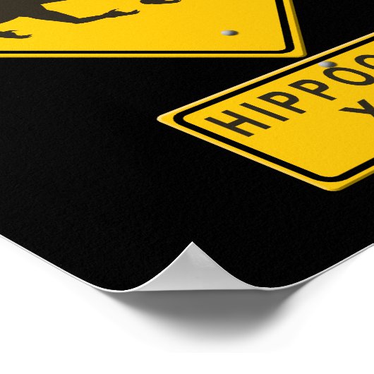 Hippogriff XING Poster (Hoek)