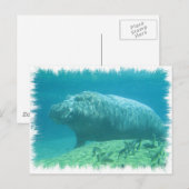 Hippopatumus Habitat Briefkaart (Voorkant / Achterkant)