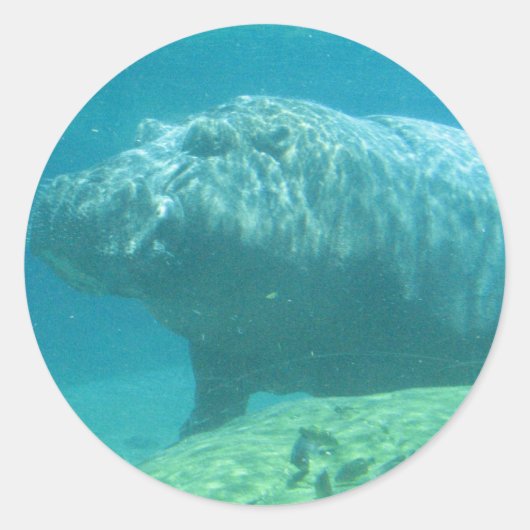 Hippopatumus Habitat-Stickers Ronde Sticker (Voorkant)