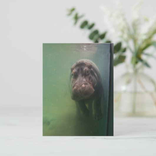 Hippopotamus Abstract #2 Briefkaart (Staand voorkant)