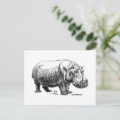 Hippopotamus Briefkaart (Staand voorkant)