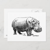 Hippopotamus Briefkaart (Voorkant / Achterkant)