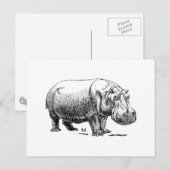 Hippopotamus Briefkaart (Voorkant / Achterkant)