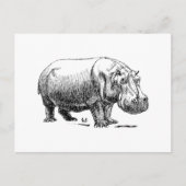 Hippopotamus Briefkaart (Voorkant)