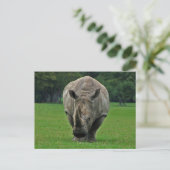 Hippopotamus briefkaart (Staand voorkant)