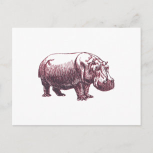 Hippopotamus Briefkaart