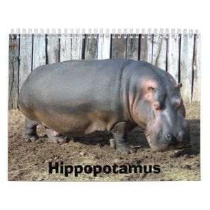 Hippopotamus Calendar, Hippopotamus Kalender