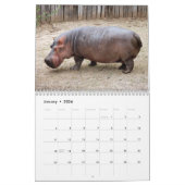 Hippopotamus Calendar, Hippopotamus Kalender (Jan 2026)