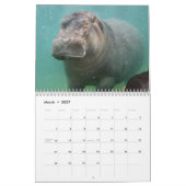 Hippopotamus Calendar, Hippopotamus Kalender (Mar 2027)