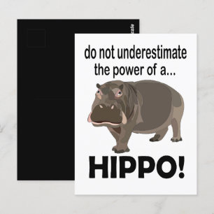 Hippopotamus Dier Grappig Hippo Briefkaart