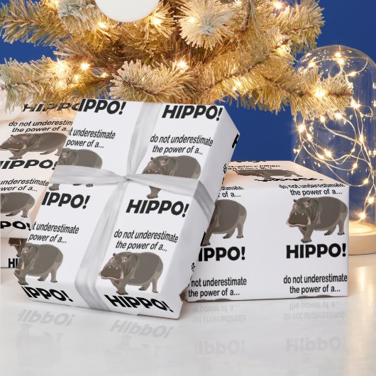 Hippopotamus Dier Grappig Hippo Cadeaupapier (Feestdagen)