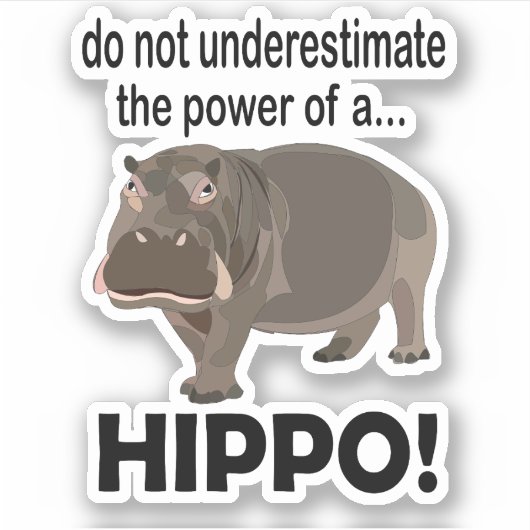 Hippopotamus Dier Grappig Hippo Sticker (Voorkant)