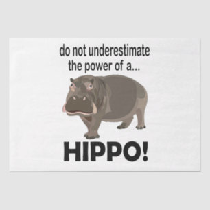 Hippopotamus Dier Grappig Hippo Tissuepapier
