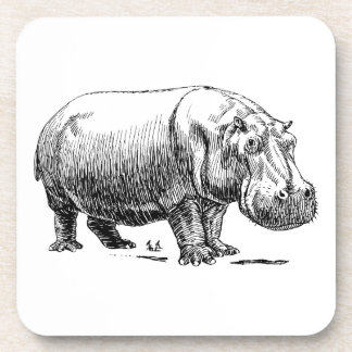 Hippopotamus Drankjes Onderzetter