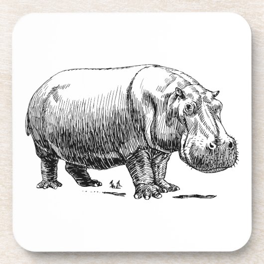 Hippopotamus Drankjes Onderzetter (Voorkant)