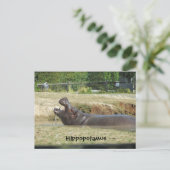 Hippopotamus Drink Briefkaart (Staand voorkant)