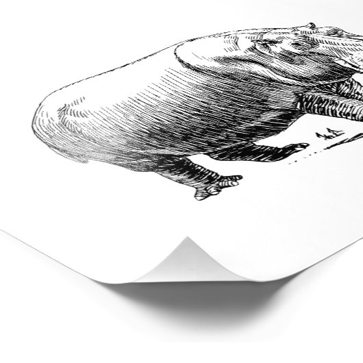 Hippopotamus Foto Afdruk (Hoek)