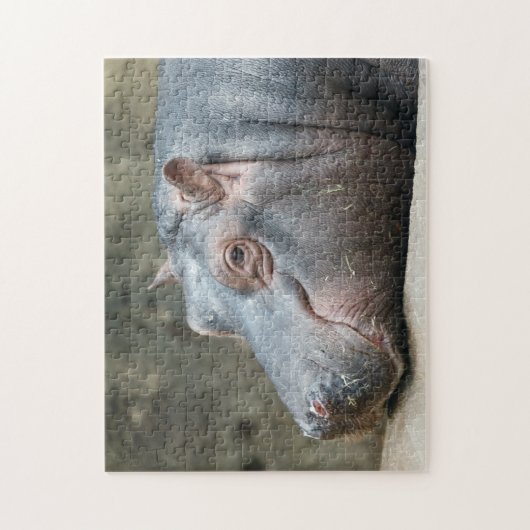 Hippopotamus-fotopuzzel Legpuzzel (Verticaal)