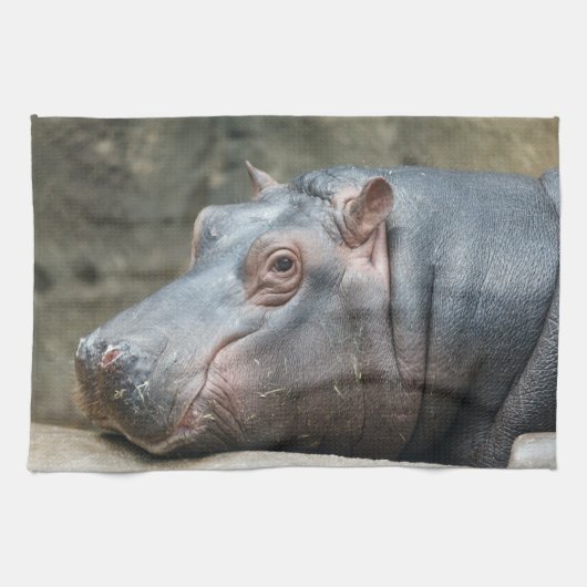 Hippopotamus handdoeken (Horizontaal)