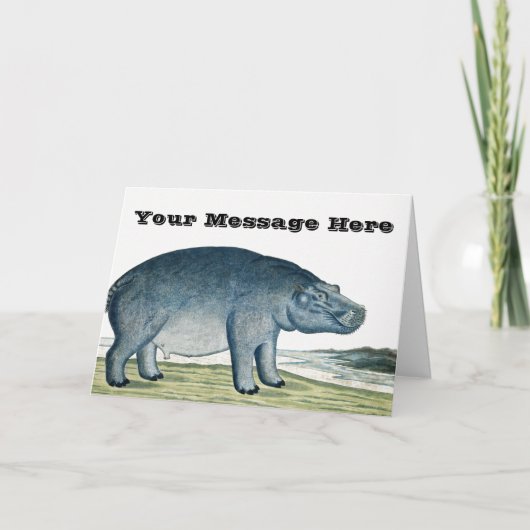 Hippopotamus - Hippo - Africa Animal - Cute Hippo Kaart (Voorkant)