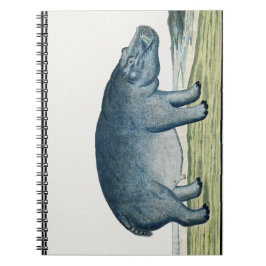 Hippopotamus - Hippo - Africa Animal - Cute Hippo Notitieboek
