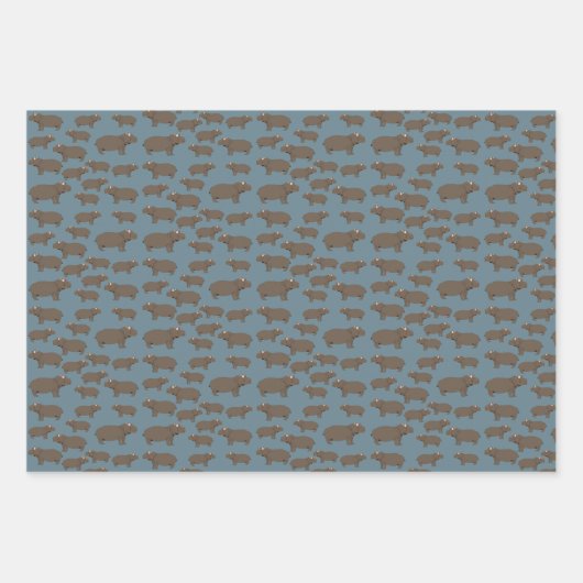 Hippopotamus Hippo Pattern Inpakpapier Vel (Voorkant 3)