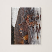 Hippopotamus, Hippopotamus amphibius, Lake Legpuzzel (Verticaal)