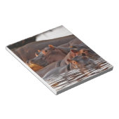 Hippopotamus, Hippopotamus amphibius, Lake Notitieblok (Schuin)