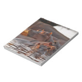 Hippopotamus, Hippopotamus amphibius, Lake Notitieblok (Linkerzijde)