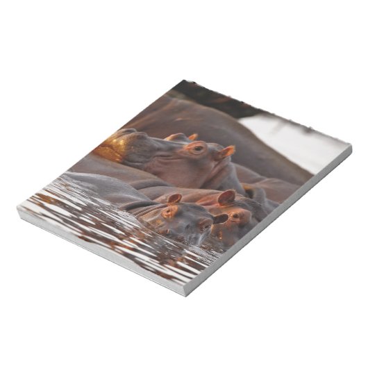 Hippopotamus, Hippopotamus amphibius, Lake Notitieblok (Linkerzijde)