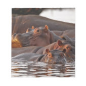 Hippopotamus, Hippopotamus amphibius, Lake Notitieblok (Voorkant)