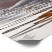 Hippopotamus, Hippopotamus amphibius, Lake Poster (Hoek)