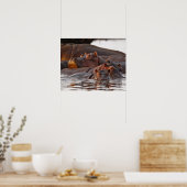 Hippopotamus, Hippopotamus amphibius, Lake Poster (Keuken)