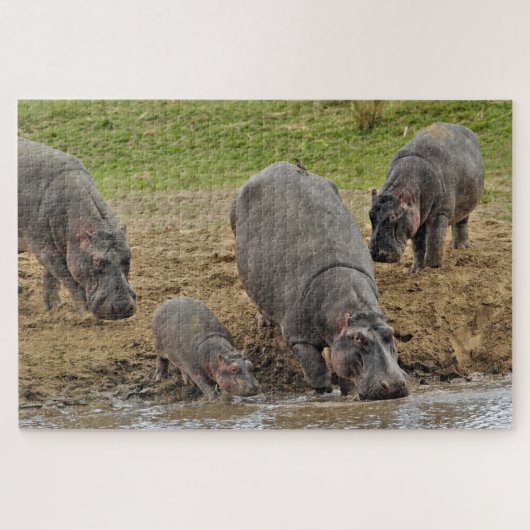 Hippopotamus, Hippopotamus amphibius, Serengeti Legpuzzel (Horizontaal)