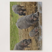 Hippopotamus, Hippopotamus amphibius, Serengeti Legpuzzel (Verticaal)