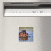 Hippopotamus in de rivier magneet (Insitu (Vaatwasser))