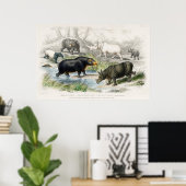 Hippopotamus, Indische Rhinoceros, Muchoco... Poster (Thuiskantoor)