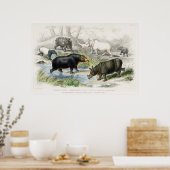 Hippopotamus, Indische Rhinoceros, Muchoco... Poster (Keuken)