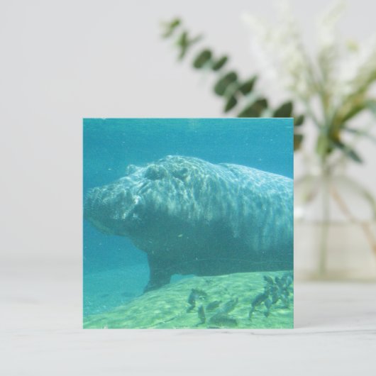 Hippopotamus Kaart (Staand voorkant)