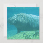 Hippopotamus Kaart (Voorkant)