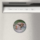 Hippopotamus Magneet (Insitu (Vaatwasser))