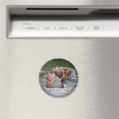 Hippopotamus Magneet (Insitu (Vaatwasser))